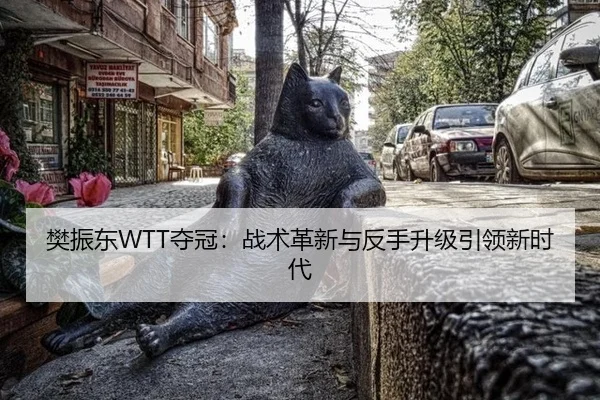 fan-zhen-dong-duo-guan-zhan-shu-ge-xin-yu-fan-shou-sheng-ji-yin-ling-xin-shi-dai-3-737.jpg