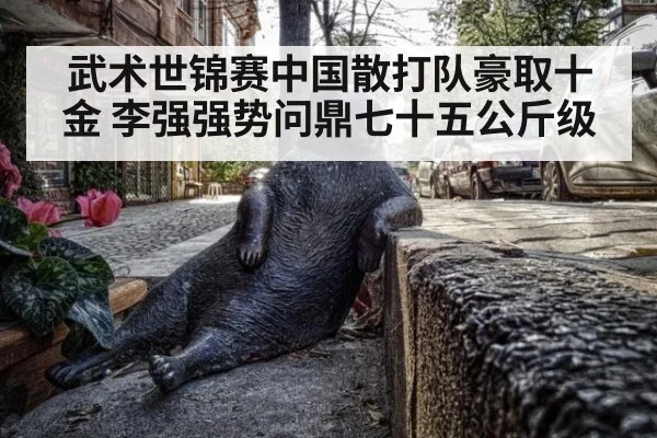 武术世锦赛中国散打队豪取十金 李强强势问鼎七十五公斤级